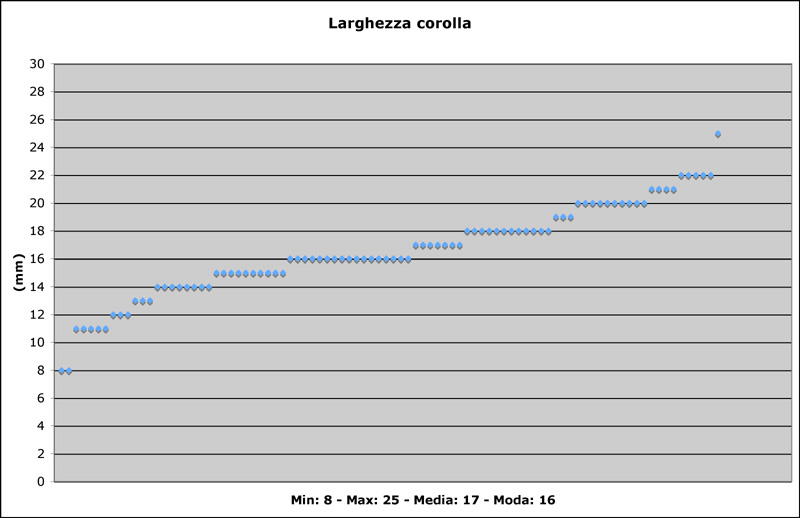 L''avventura prosegue...